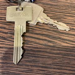 Clave - 310725 DRAKE 1, segundo informou Ziggo Dome usando iLost