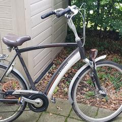 Electrische herenfiets, segundo informou a iLost