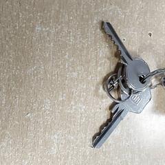 Keys, as reported by Regio Antwerpen - Brussel using iLost