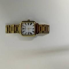 Wristwatch Goud, as reported by Bobbejaanland using iLost