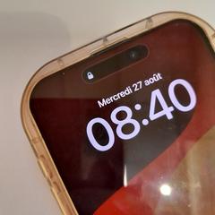 Mobiele telefoon gris Apple, zoals gemeld door TCL met iLost