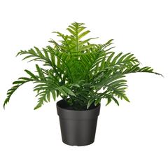 Produit IKEA FEJKA, a été signalé par IKEA Toulon utilisant iLost