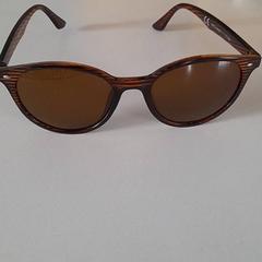 Gafas de sol Bruin, segundo informou Dolfinarium usando iLost