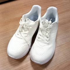 Sapatos Wit, como reportado por RRReis Veluwe Zuid - Ede utilizando o iLost