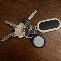 Sleutelbos がiLostに報告されました