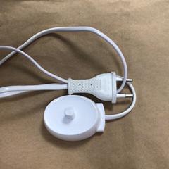 Adaptateur Adapter tandenborstel, a été signalé par Hotel van der Valk Maastricht utilisant iLost
