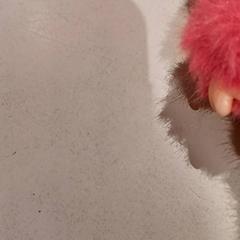 Peluche, como reportado por De Efteling utilizando o iLost