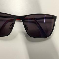 Sunglasses Rood aan de pootjes, as reported by Gemeente Zandvoort using iLost