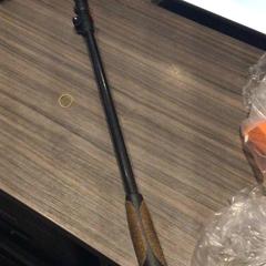 Walking stick, as reported by Van der Valk Hotel Zwolle using iLost