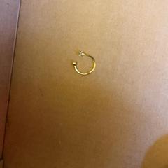 Anel Gouden ring sterretje, como reportado por Into The Great Wide Open utilizando o iLost