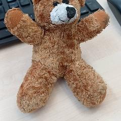 Teddybjørn Ours marron, som rapportert av IKEA Lille ved bruk av iLost