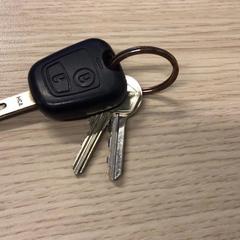 Keys, as reported by Gemeente Arnhem using iLost