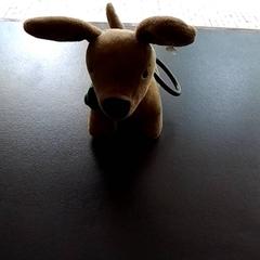 Knuffel Hondje, gisa salatu by Apenheul iLost erabiliz