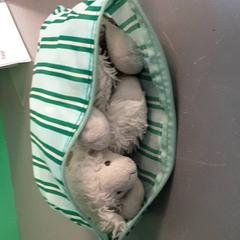 Peluche, come riportato da Diergaarde Blijdorp utilizzando iLost