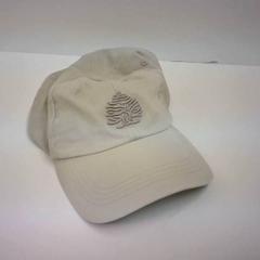 Baseball cap, as reported by Bobbejaanland using iLost