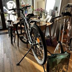 Herenfiets, come riportato a iLost