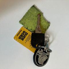 鍵 がiLostで Gemeente Rijswijk によって報告されました