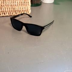 Gafas de sol, segundo informou Diergaarde Blijdorp usando iLost