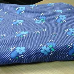 Kussentje, a été signalé par Connexxion Noord Holland Noord Hoorn utilisant iLost