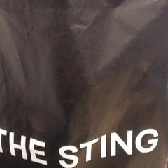 Bossa The Sting, segons ha informat Qbuzz Fryslân mitjançant iLost