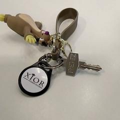 Nøkkelring, som rapportert av TU/e - Receptie MetaForum ved bruk av iLost