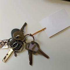Llave, ha sido reportado por Regio Limburg - Leuven con iLost