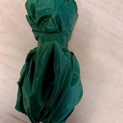 傘 Groen がiLostで Arriva Vechtdallijnen によって報告されました