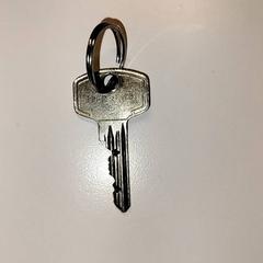 Gakoa, gisa salatu by Ziekenhuis Oost-Limburg iLost erabiliz