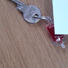 huissleutel met sleutelhanger van Sanquin, come riportato a iLost