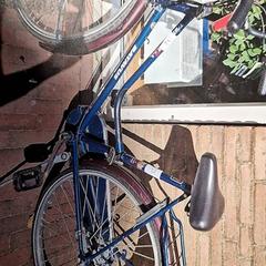 Bicikli Batavus Blauw, amint azt Gemeente Roermond az iLost segítségével jelentette.