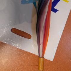 Regenschirm multicolore, gemeldet von TCL über iLost