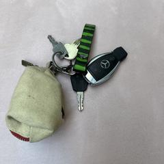 Mercedes auto sleutel, as reported to iLost