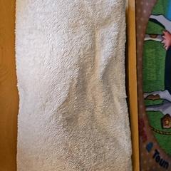 Towels, as reported by Familie Resort Molenwaard using iLost