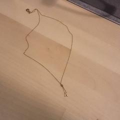 Goudkleurige ketting met letter a, rapporterat av LUMC med iLost