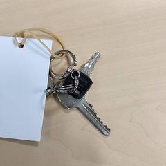 Llaves, ha sido reportado por Regio Oost-Vlaanderen con iLost