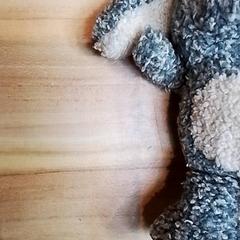 Peluix, segons ha informat Beekse Bergen Resorts en Hotel mitjançant iLost