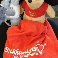 Tas met twee knuffels, as reported by Connexxion Noord Holland Noord Alkmaar using iLost