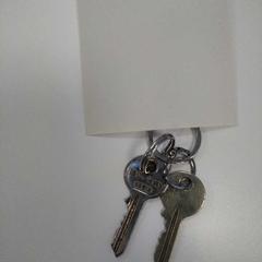 Sleutes, zoals gemeld door Syntus Provincie Utrecht met iLost