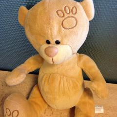 Knuffel beer, as reported by Dolfinarium using iLost