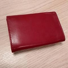 Brieftasche Super, gemeldet von Qbuzz Fryslân über iLost