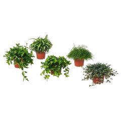 Produit IKEA HIMALAYAMIX, a été signalé par IKEA Dijon utilisant iLost