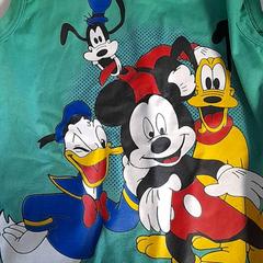 Camisa Groen, disney, segons ha informat Dolfinarium mitjançant iLost