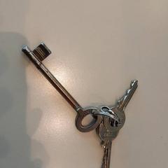 Chaveiro Zilver, segundo informou LUMC usando iLost