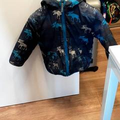 Jacke, gemeldet von Qbuzz ZHN über iLost