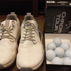 Skor + golfballen, rapporterat av Van der Valk Hotel Gorinchem med iLost