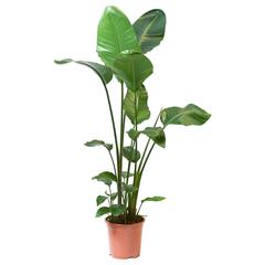 Výrobek IKEA, jak nahlášeno IKEA Alfragide pomocí iLost