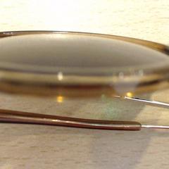 Gafas de sol bruin, segundo informou Walibi Holland usando iLost