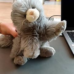 Mazlící hračka Chat gris, jak nahlášeno IKEA Nantes pomocí iLost