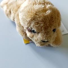 ぬいぐるみ - Knuffelbeertje がiLostで Regio West-Vlaanderen によって報告されました