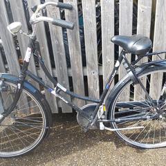 Bike Simplex zwart, as reported by Fietsdepot Meierijstad using iLost